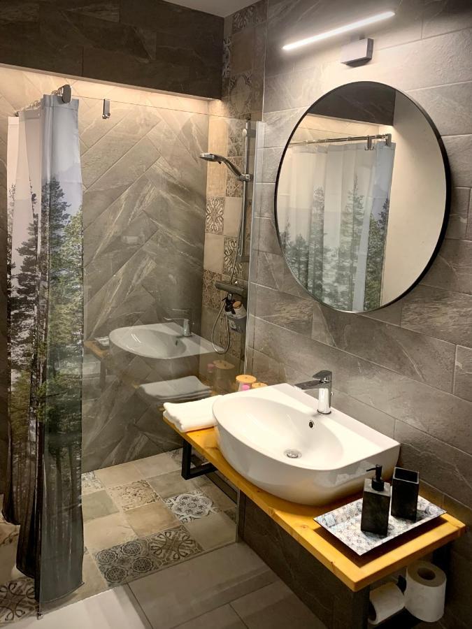 Blue Mountain Residence 布拉索夫 外观 照片