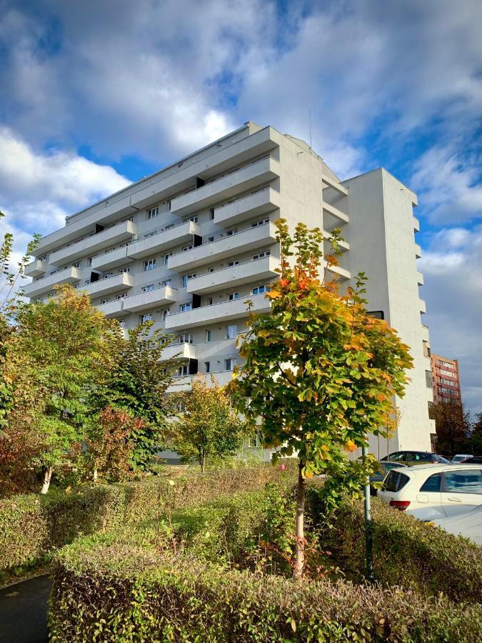 Blue Mountain Residence 布拉索夫 外观 照片